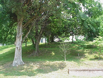 Landscape Terrace at Huntly