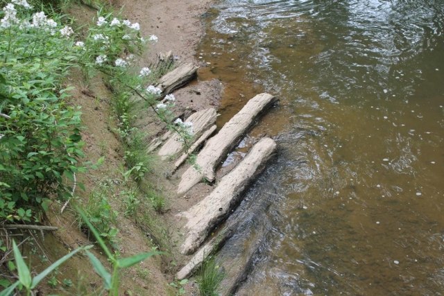 Corduroy Road Beneath Siltation