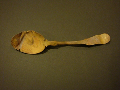 Spoon